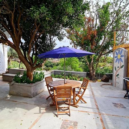 Apartament Il Sogno Forio di Ischia Zewnętrze zdjęcie