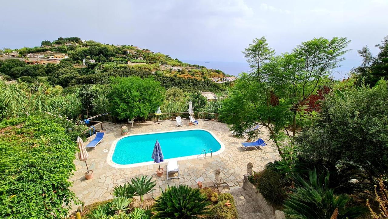 Apartament Il Sogno Forio di Ischia Zewnętrze zdjęcie